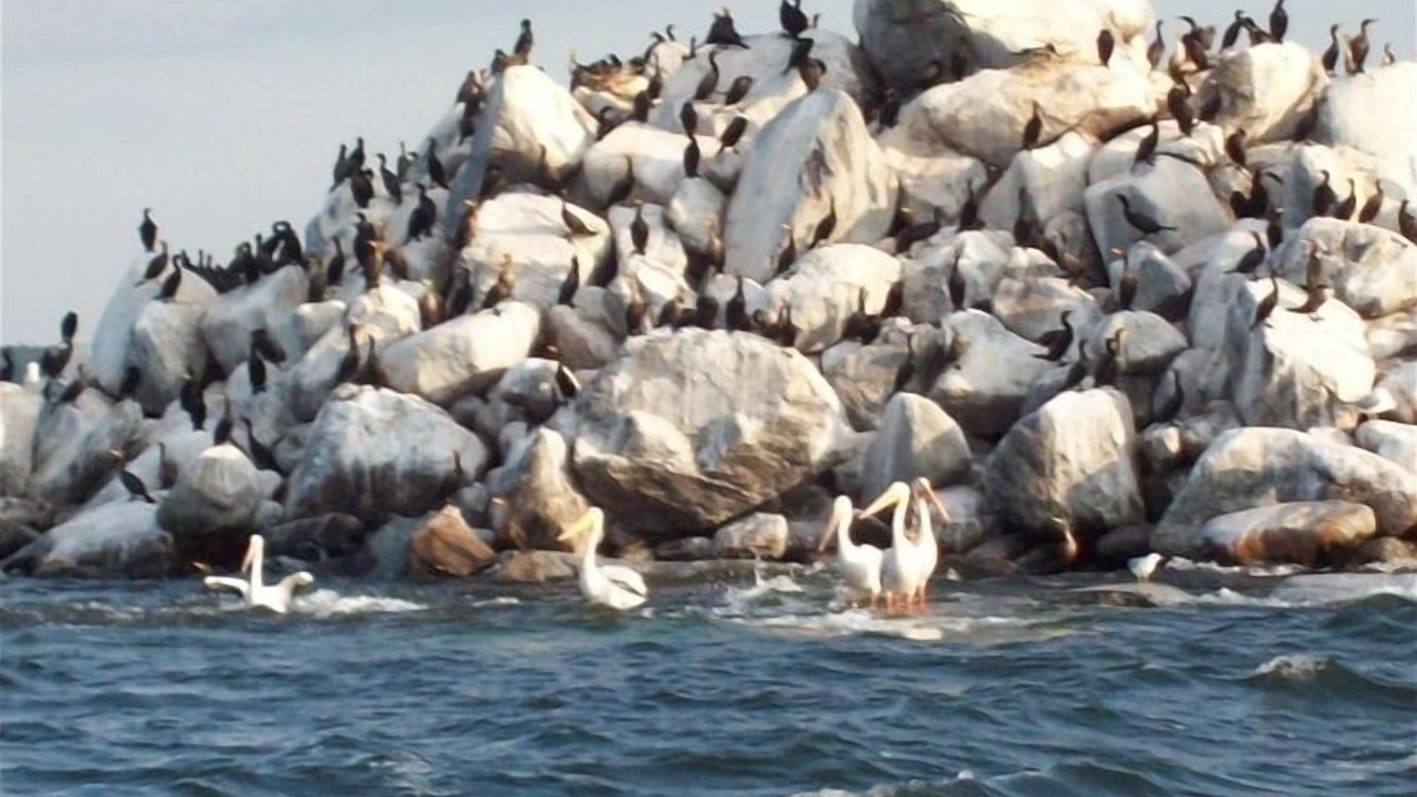 Photo of Others in Onamia