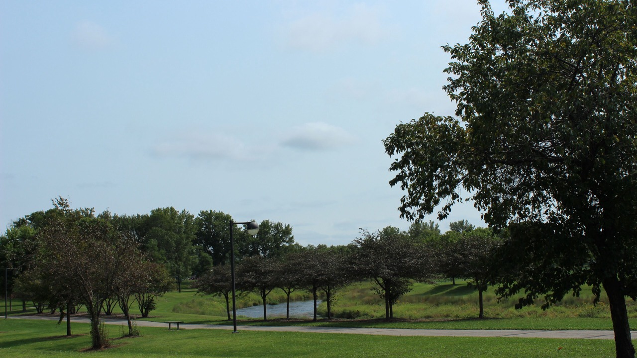 Photo of Others in Slatterly Park