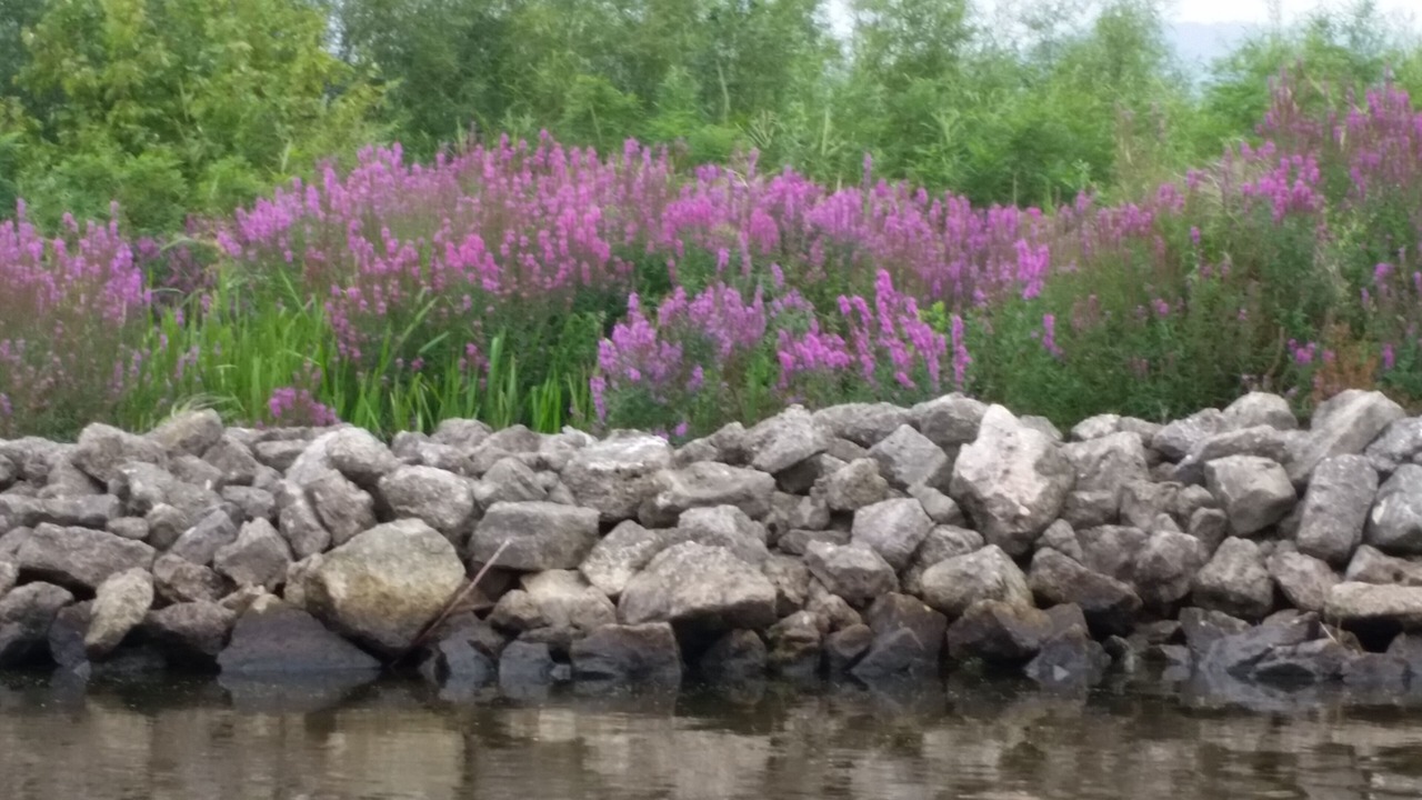 Photo of Outdoor in Brownsville