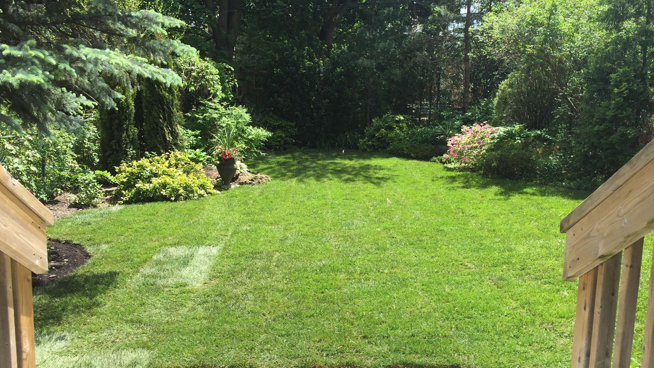Photo of Outdoor in East York