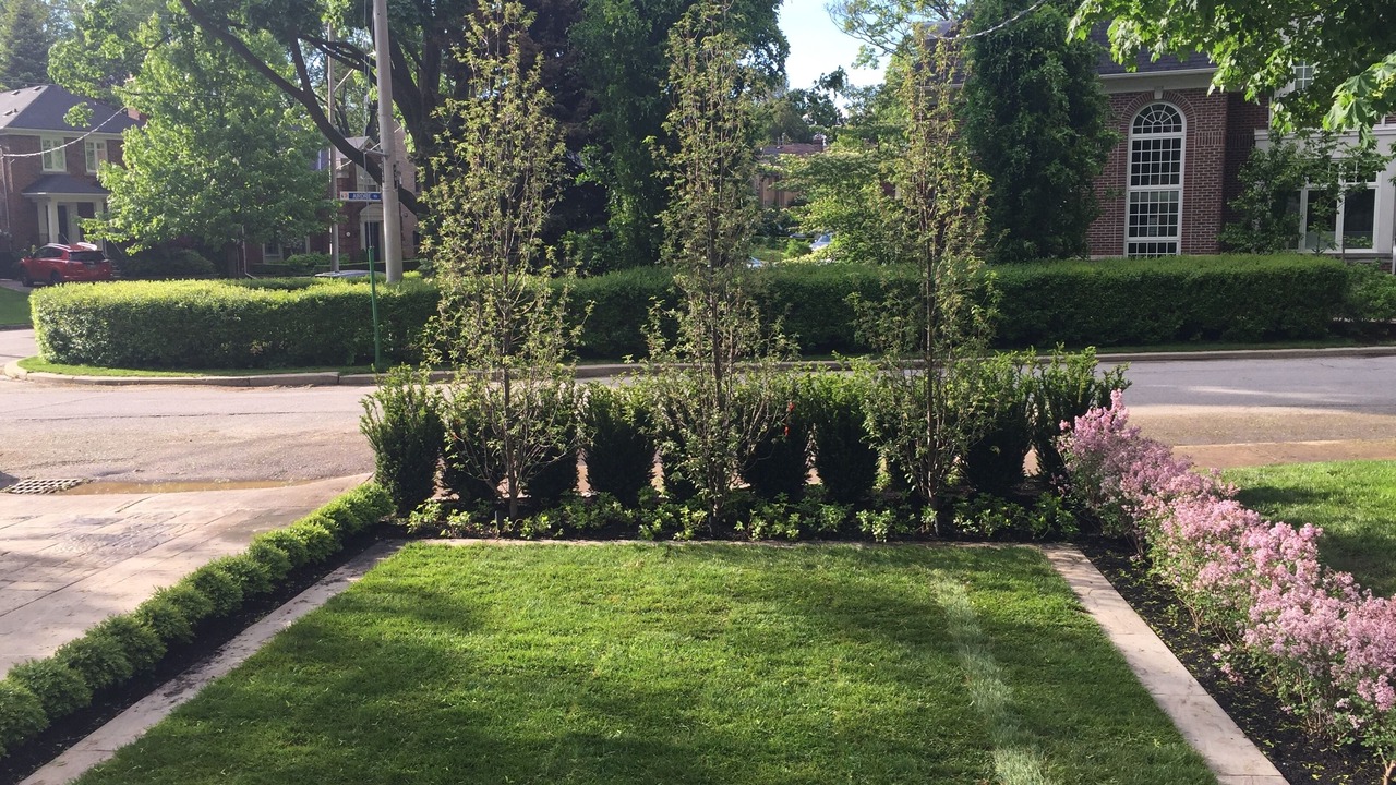 Photo of Outdoor in East York