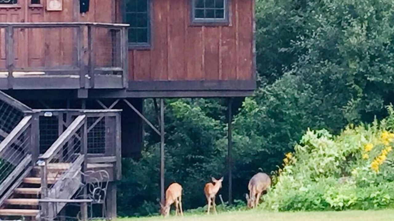 Photo of Others in Cottage Grove