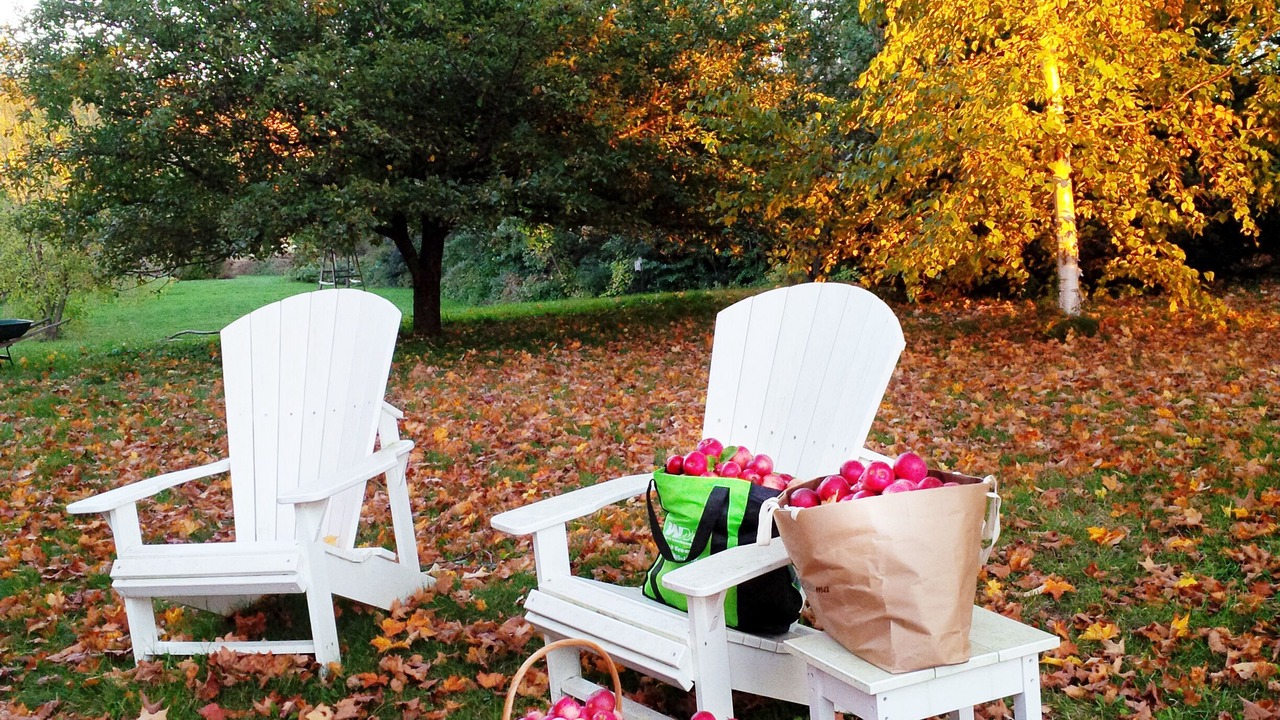 Photo of Outdoor in Meaford