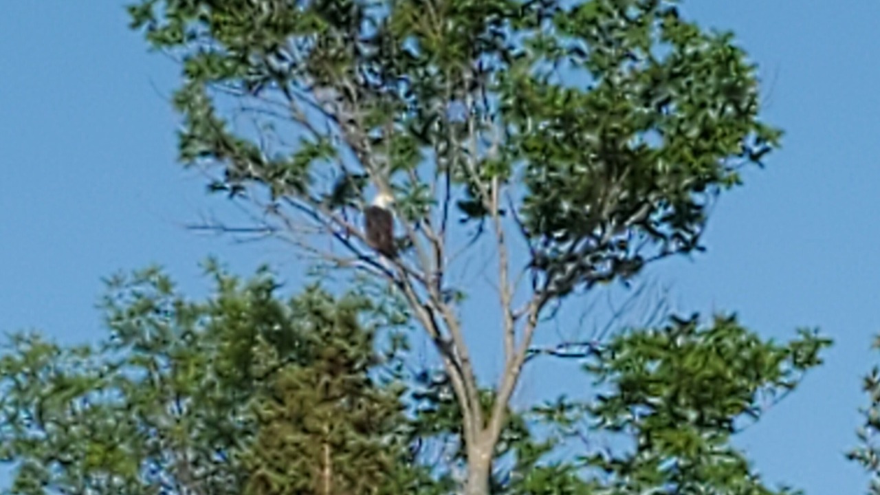 Photo of Others in Richwood