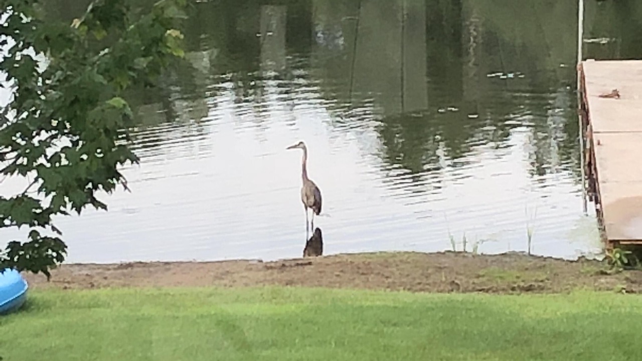 Photo of Others in Chisago City