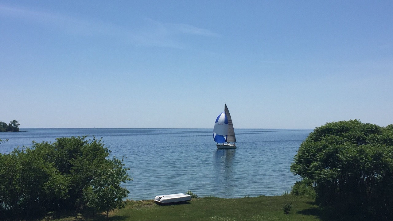 Photo of Others in Wolfe Island