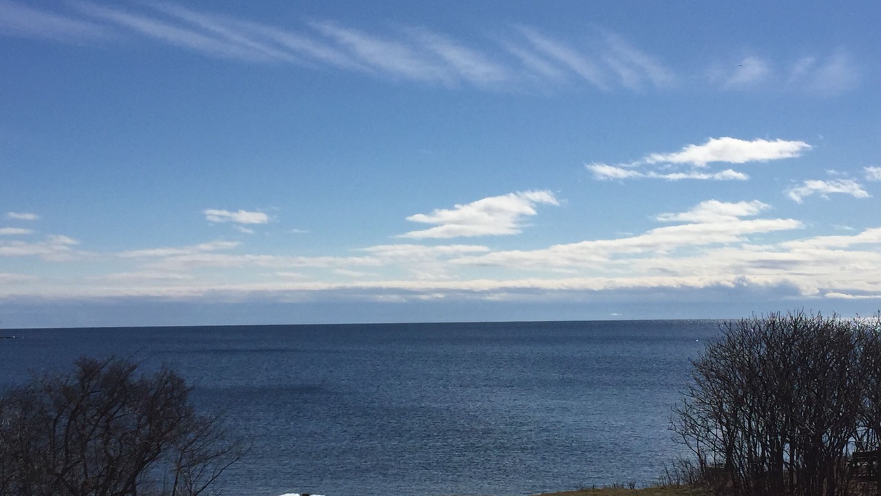 Photo of Others in Wolfe Island