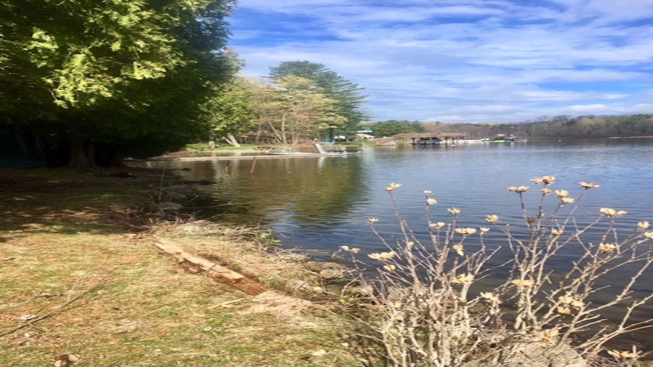 Photo of Others in Port Carling