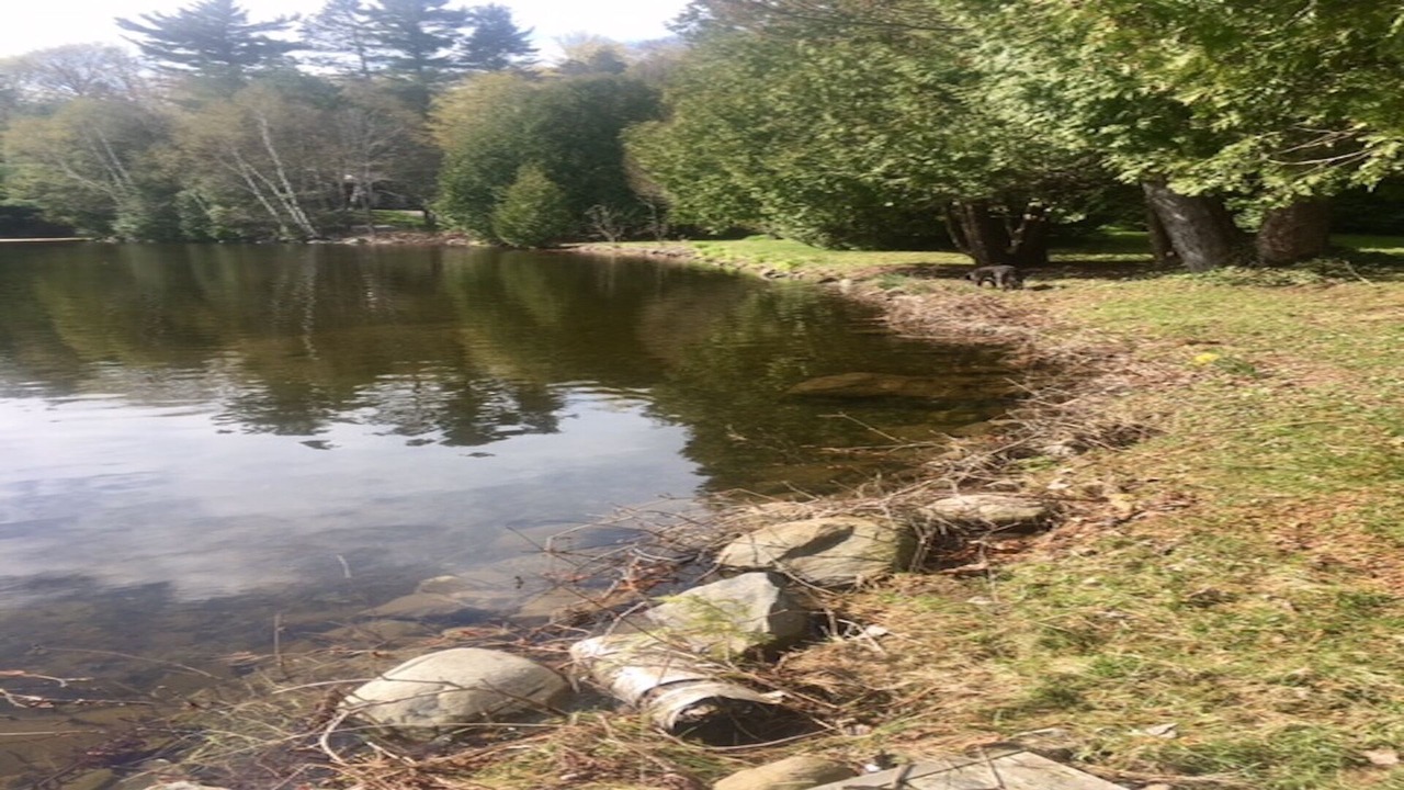 Photo of Others in Port Carling