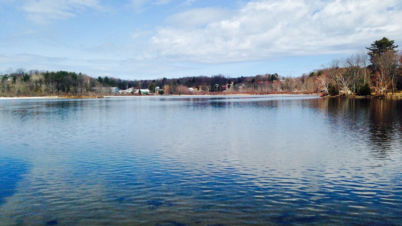 Photo of Others in Port Carling