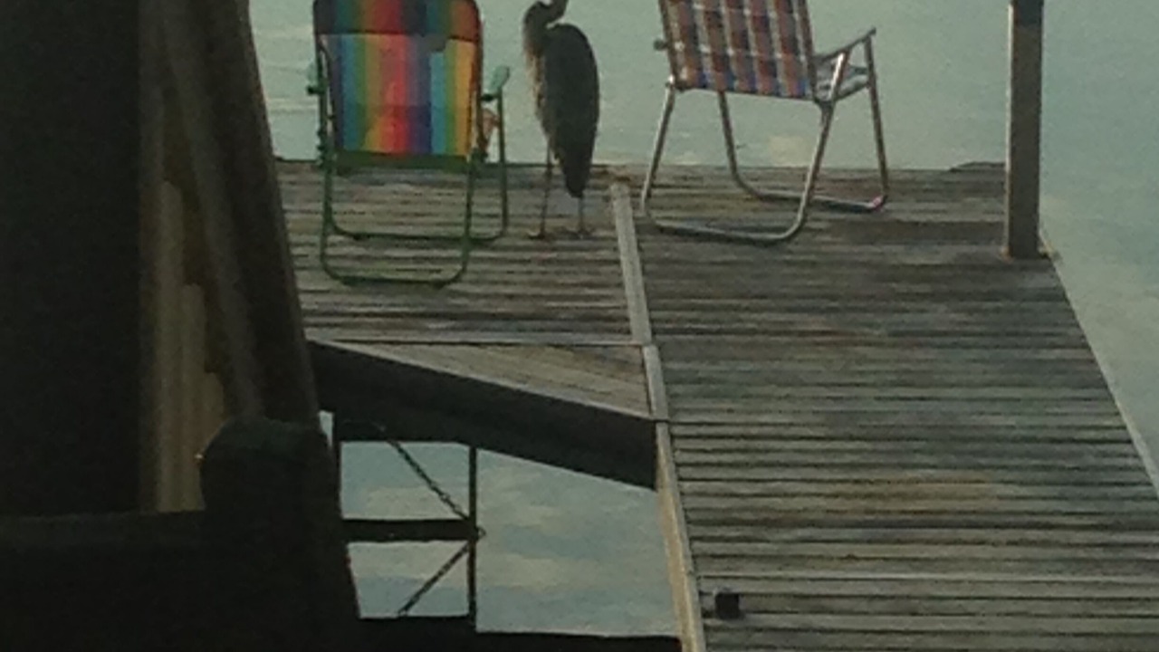 Photo of Others in South Haven