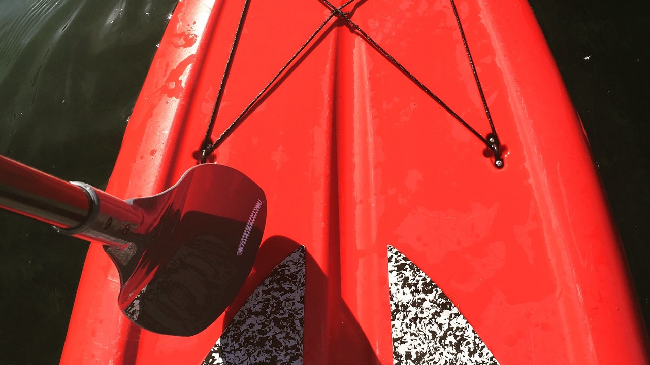 Photo of Others in South Haven