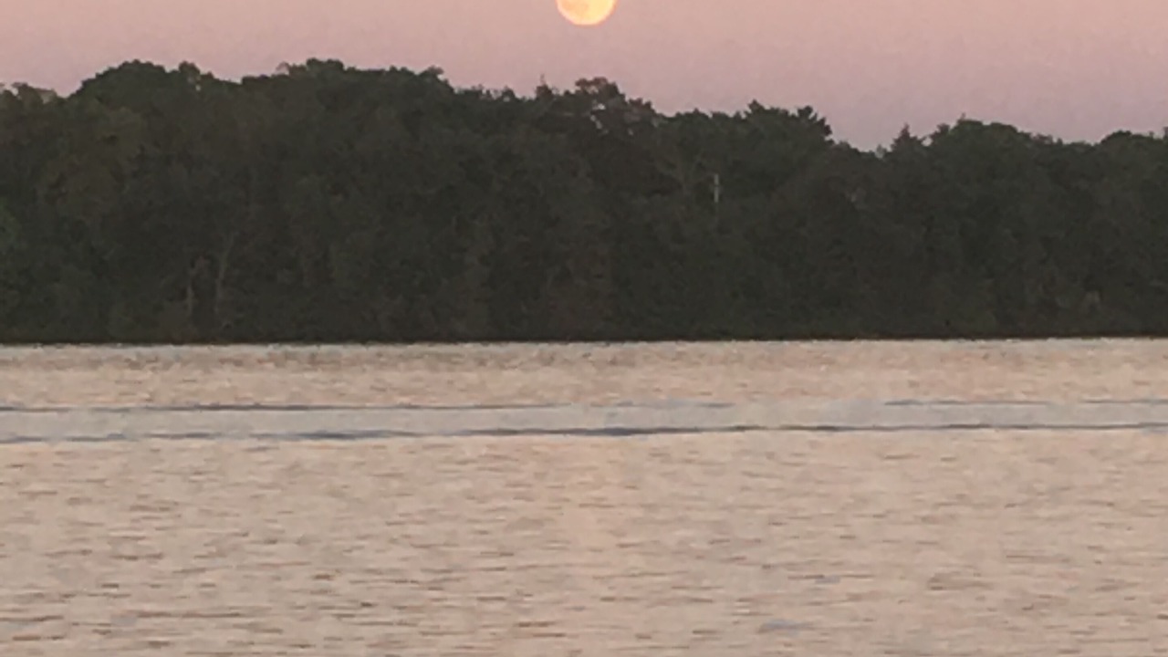 Photo of Others in South Haven
