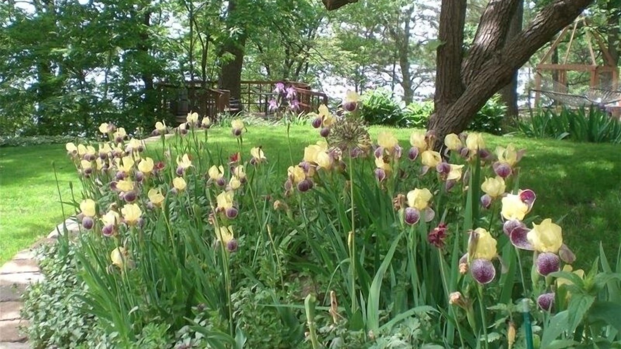 Photo of Others in Farwell