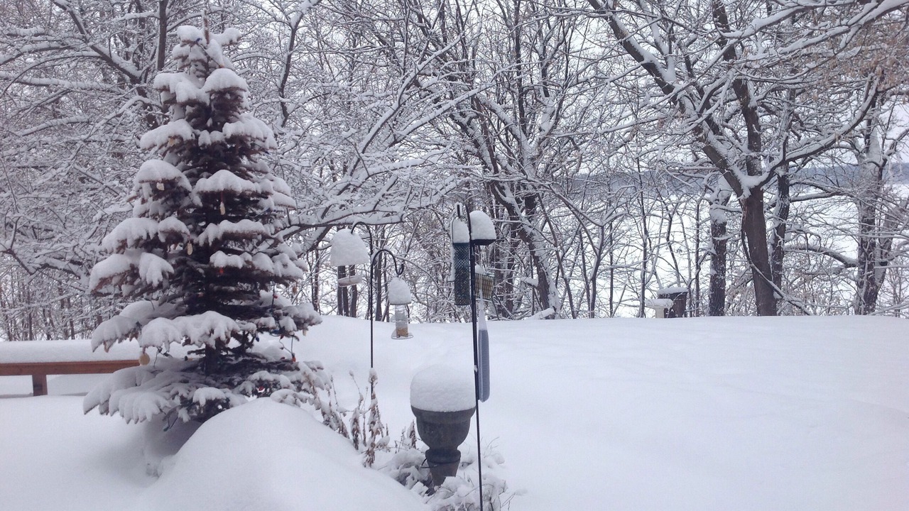 Photo of Outdoor in Farwell