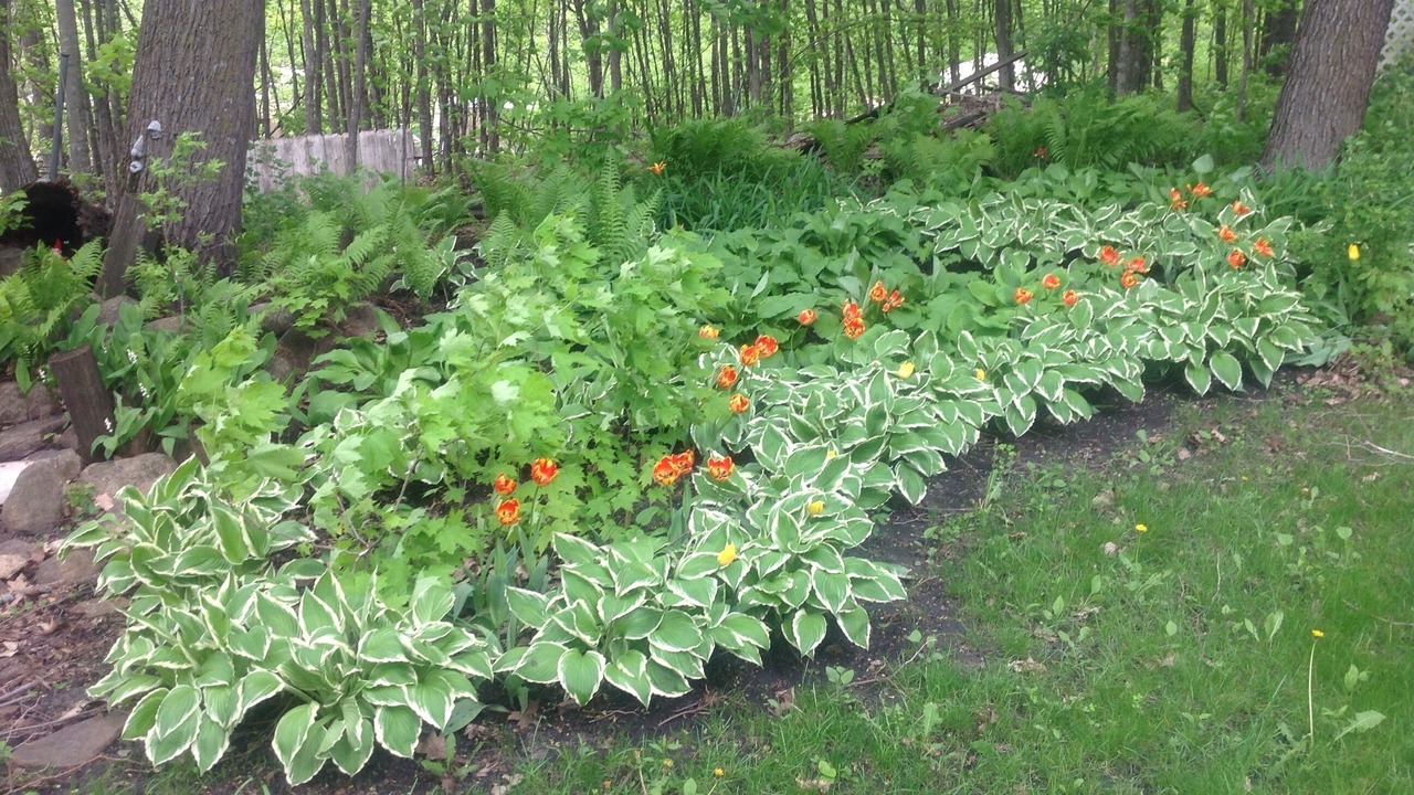Photo of Outdoor in Farwell