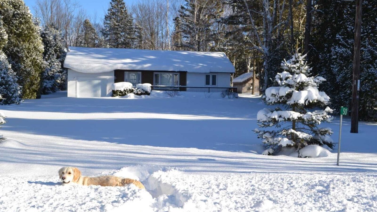 Photo of Others in Red Bay