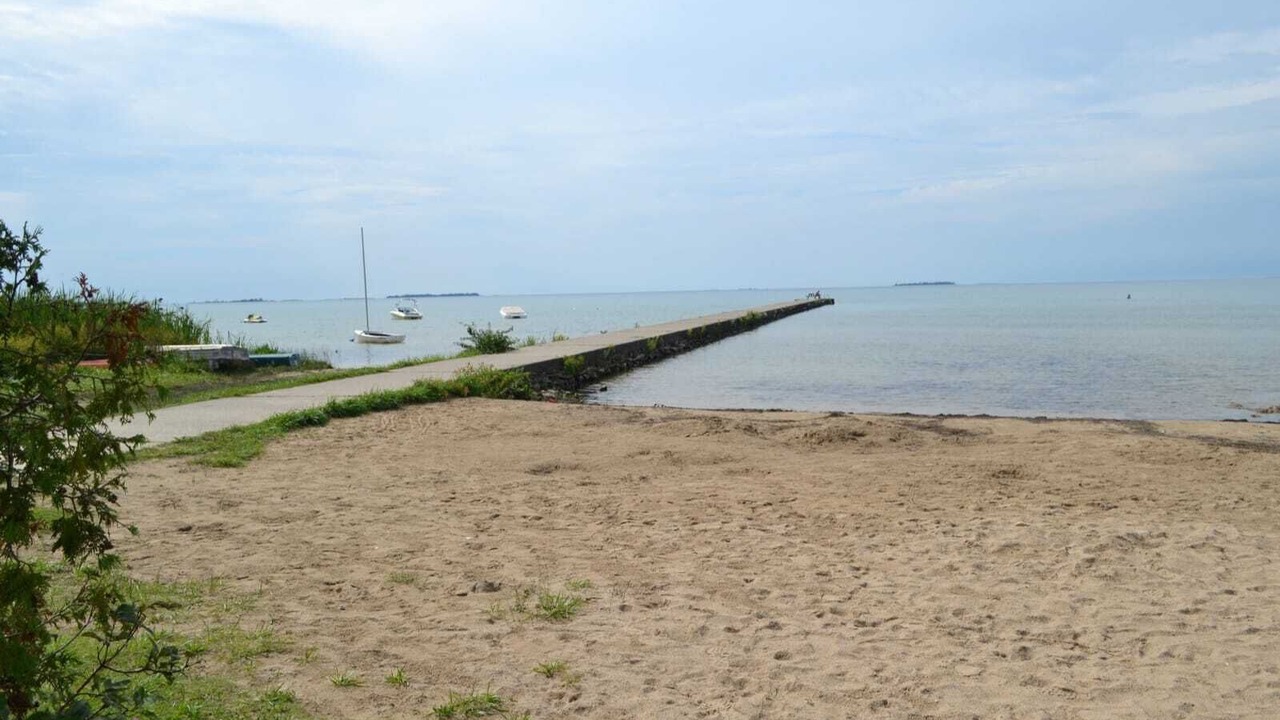Photo of Others in Red Bay