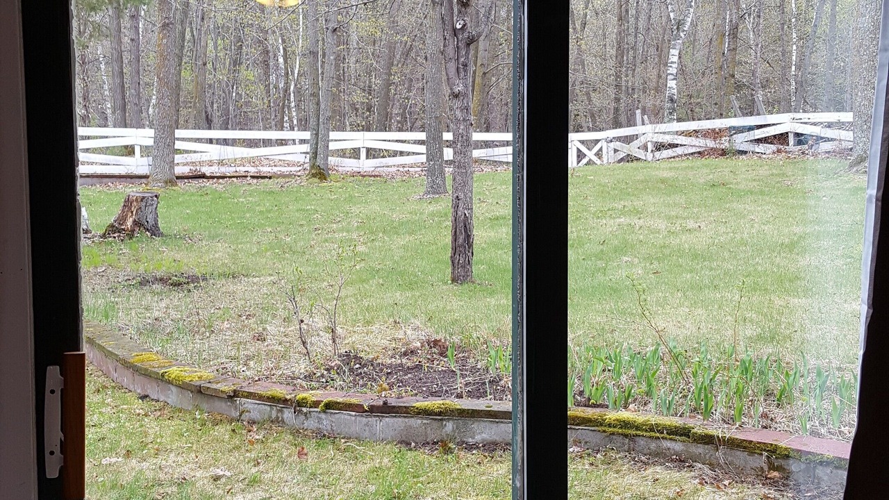 Photo of Others in Longville