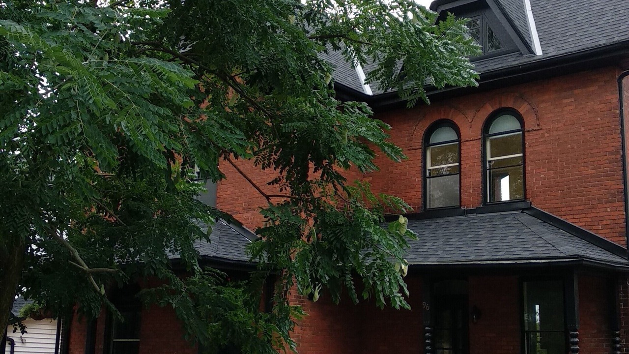 Photo of Outdoor in Stratford
