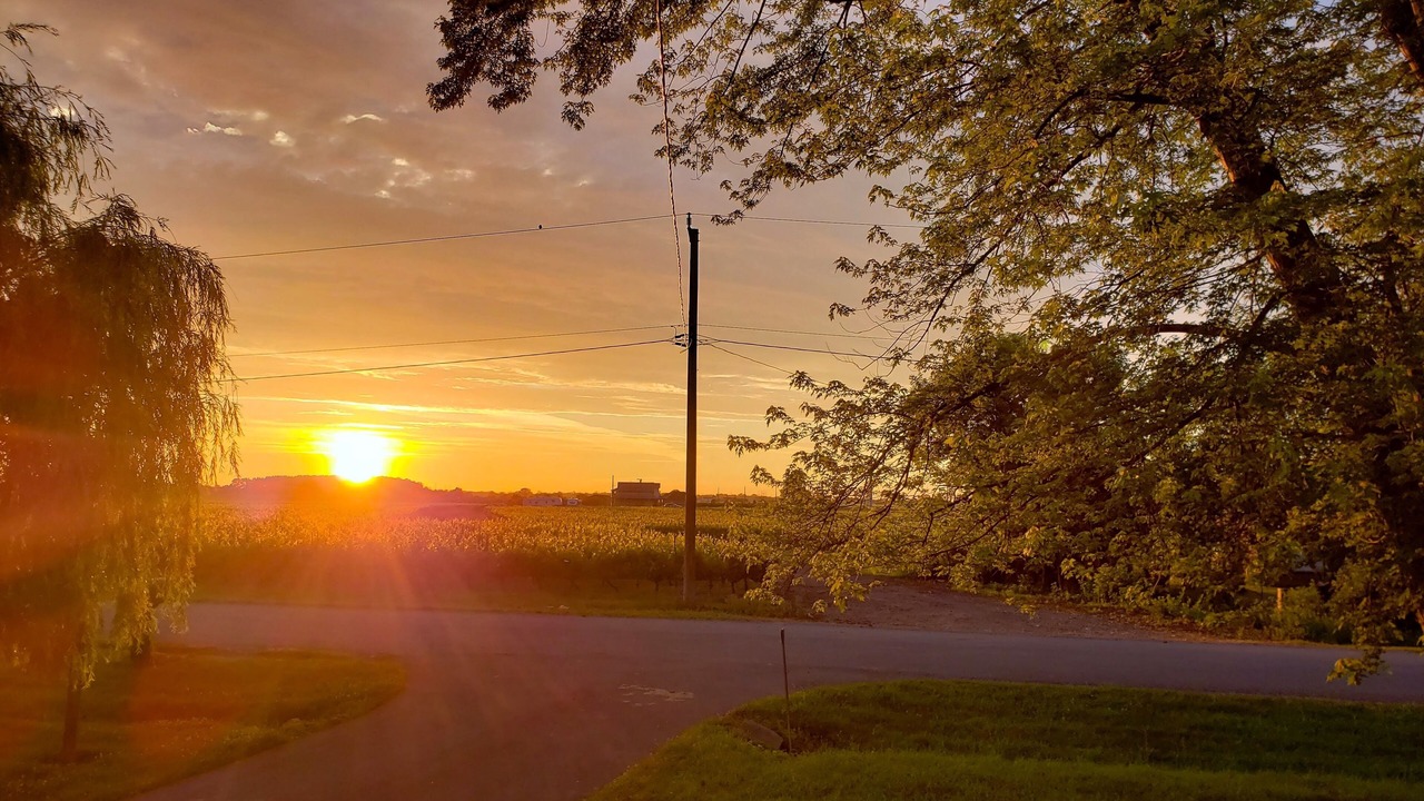 Photo of Others in Niagara-on-the-Lake