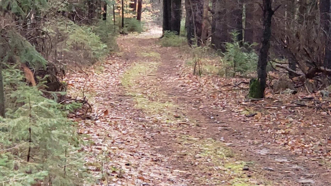 Photo of Outdoor in Adjala-Tosorontio