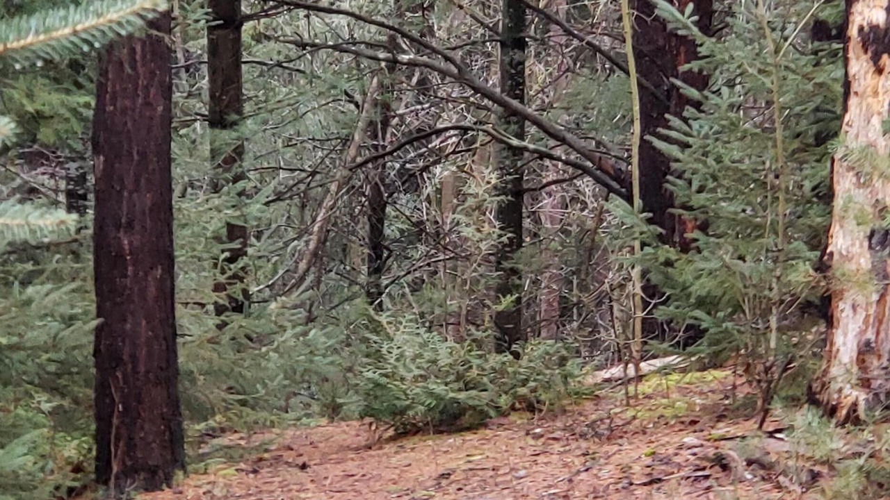 Photo of Outdoor in Adjala-Tosorontio