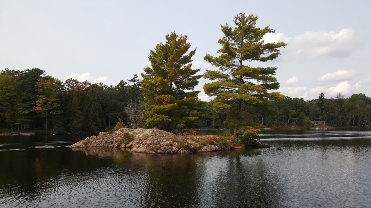 Photo of Outdoor in Coboconk