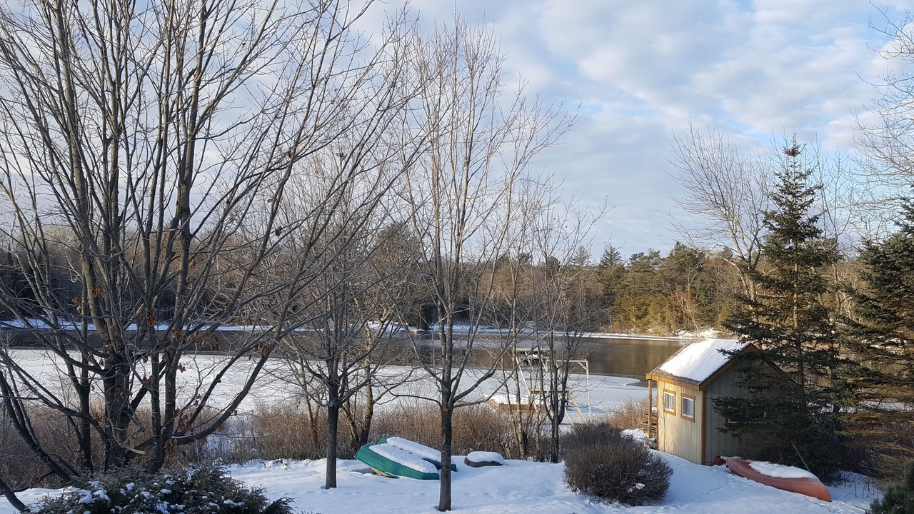 Photo of Outdoor in Coboconk