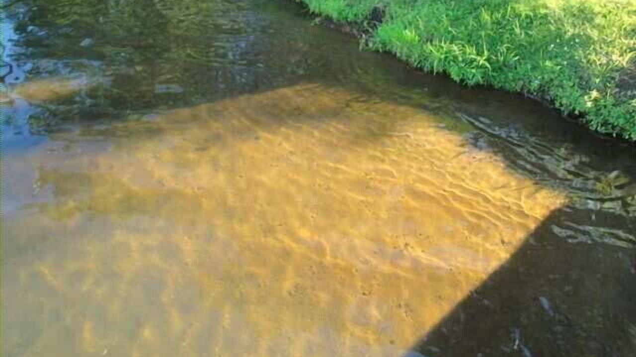 Photo of Others in Deerwood