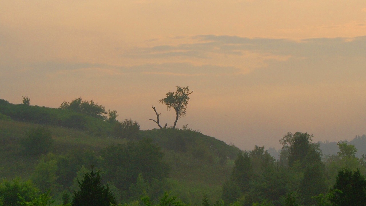 Photo of Others in Hamilton Township