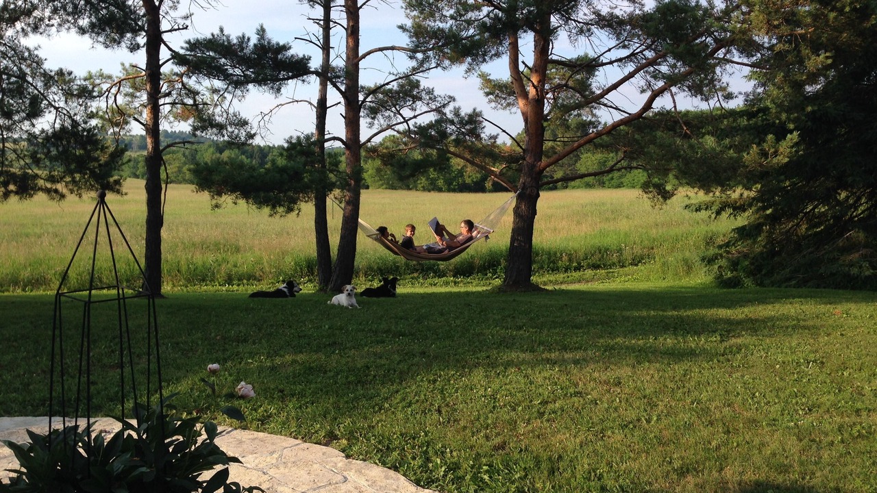 Photo of Others in Hamilton Township