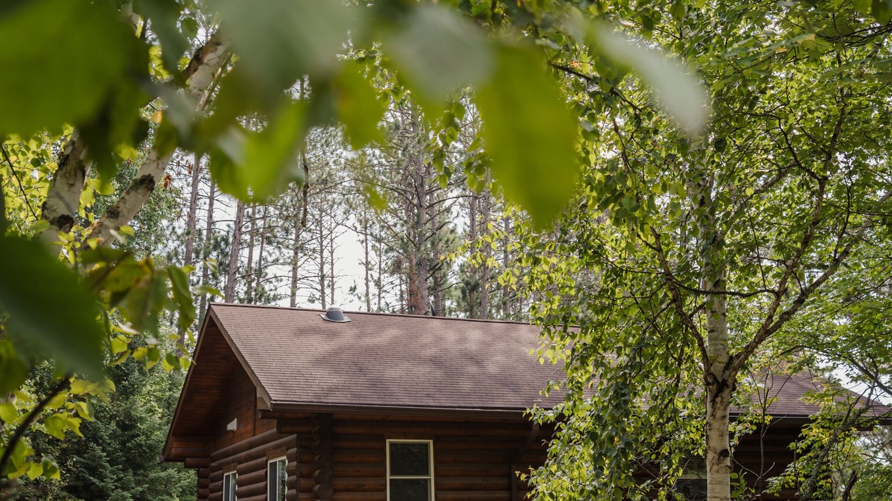 Photo of Outdoor in Cook