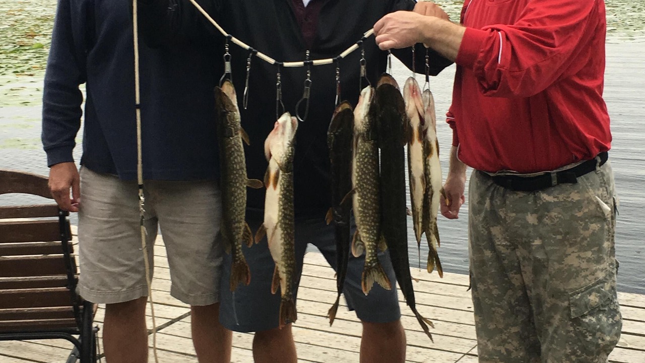 Photo of Others in Brainerd