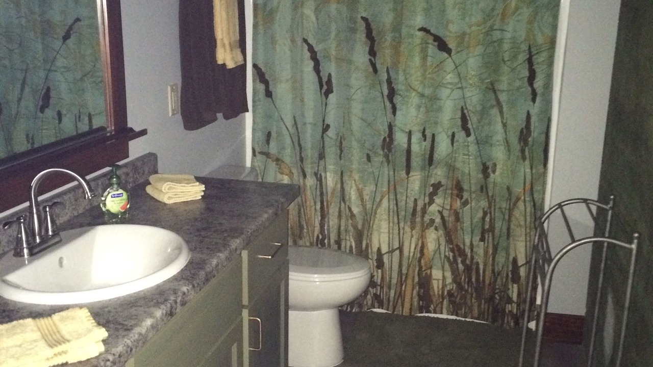 Photo of Bathroom in Osage