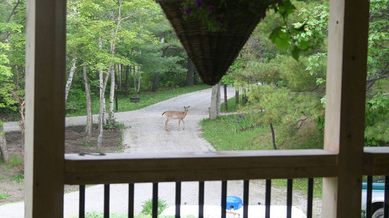 Photo of Outdoor in Big Chute