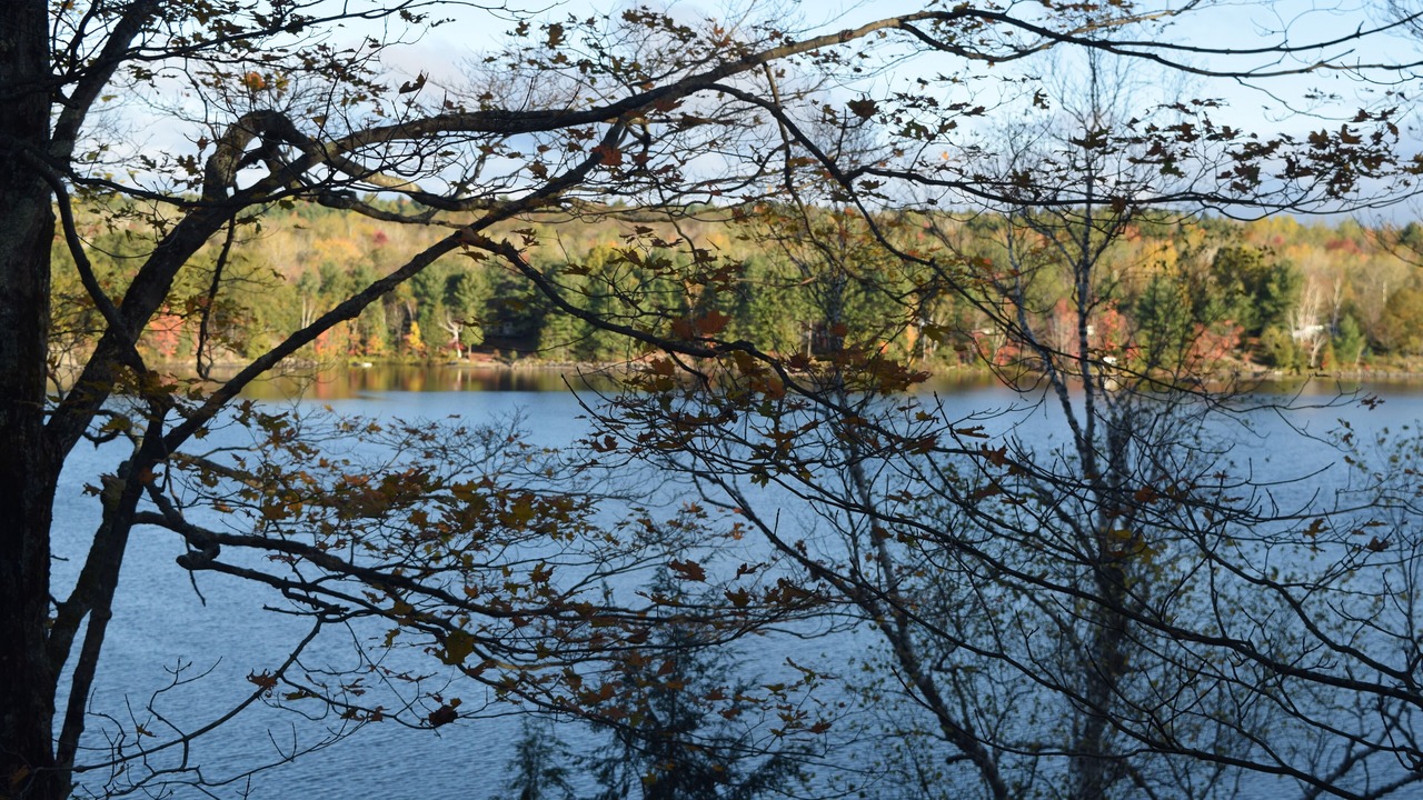 Photo of Outdoor in Arden