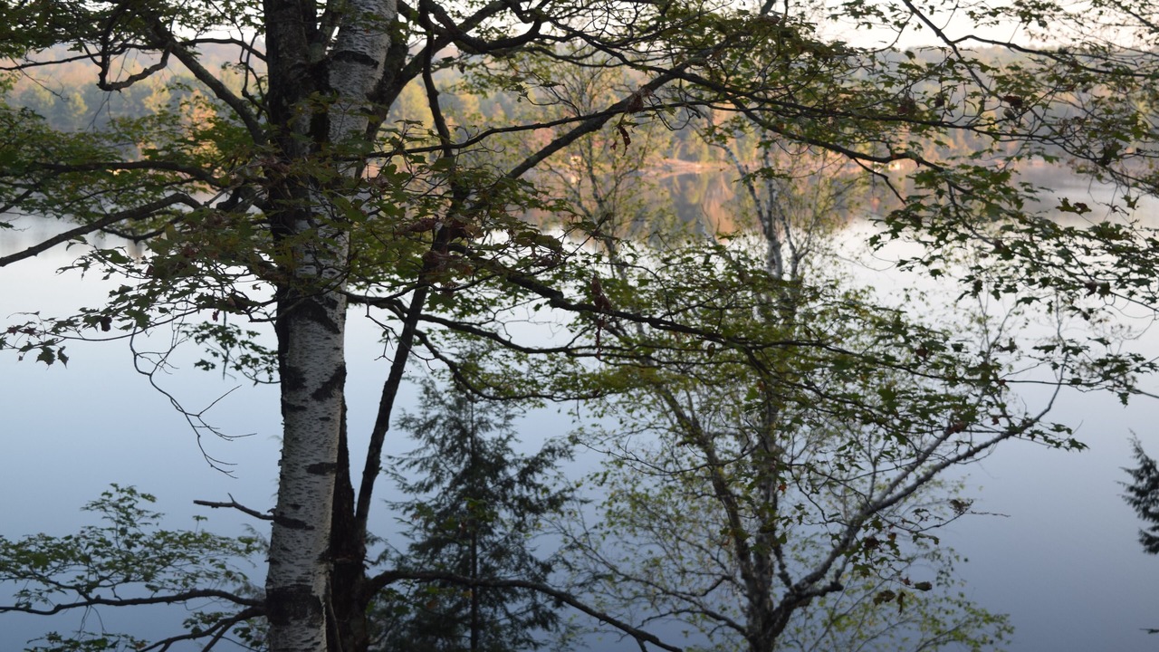 Photo of Outdoor in Arden