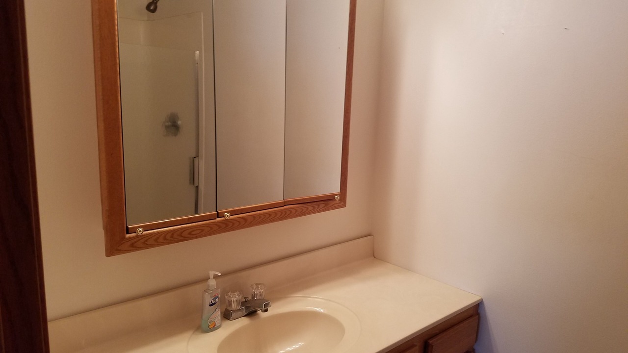 Photo of Bathroom in Ortonville