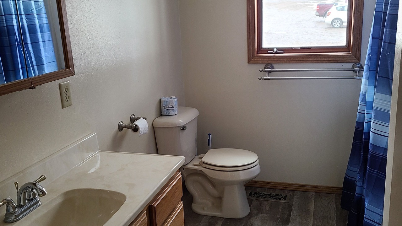 Photo of Bathroom in Ortonville