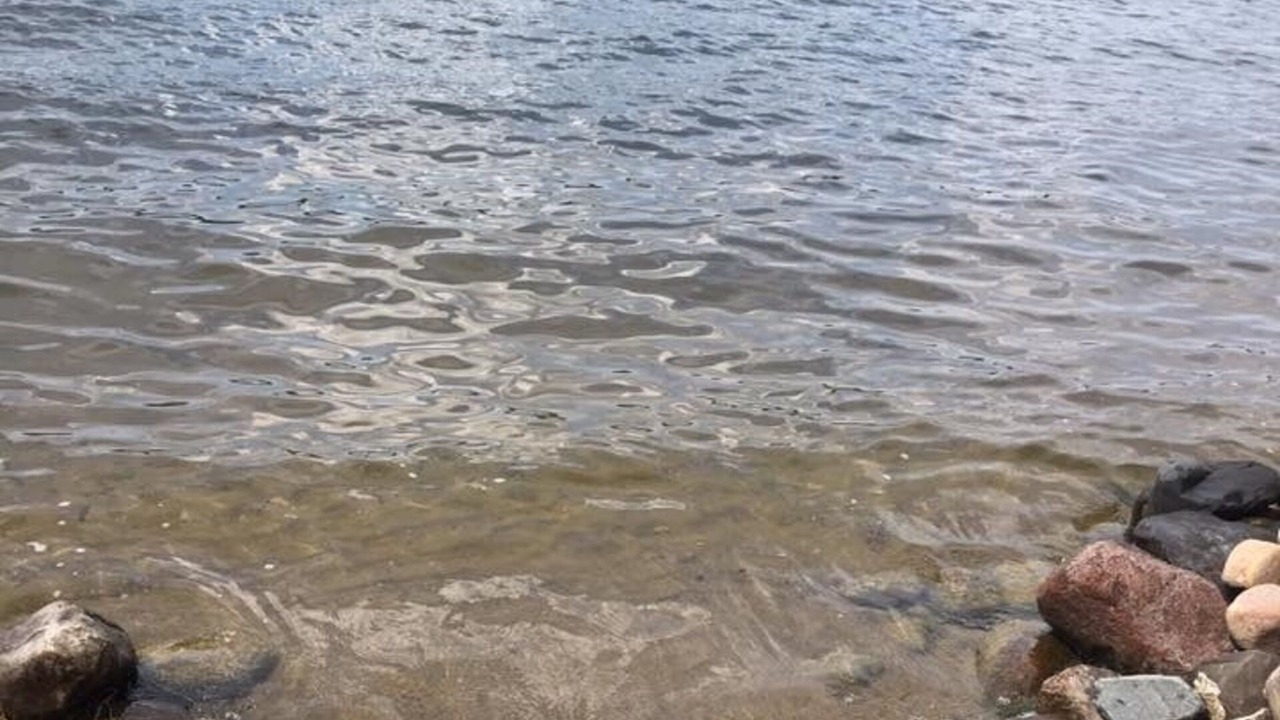 Photo of Others in Crosslake