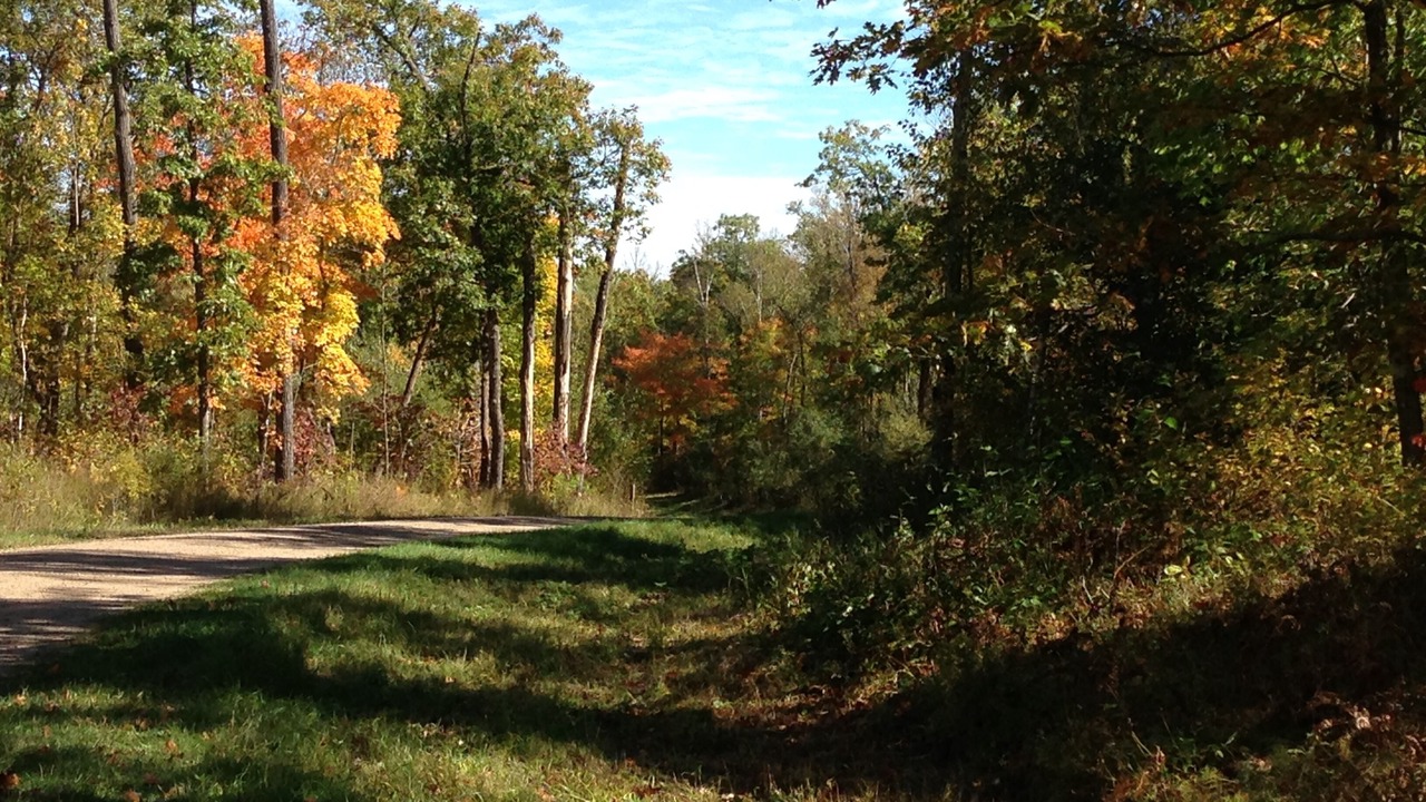 Photo of Outdoor in Hackensack