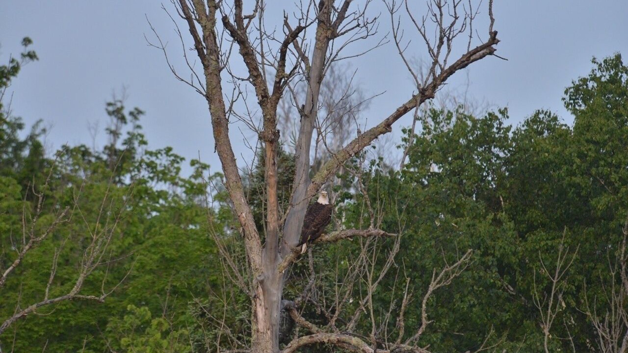Photo of Outdoor in Hackensack