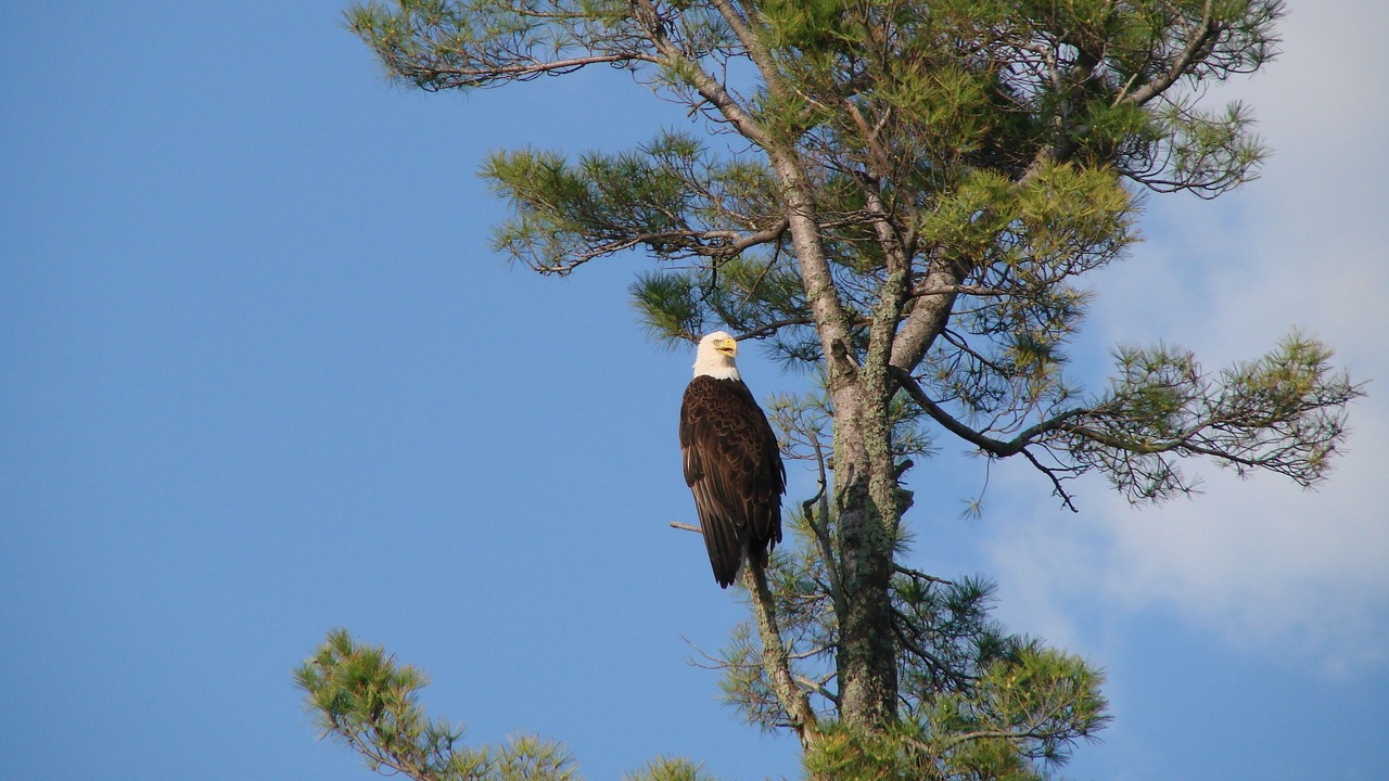 Photo of Others in Hackensack