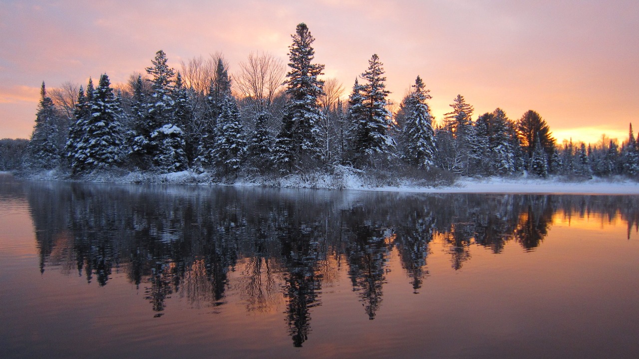 Photo of Others in Bracebridge