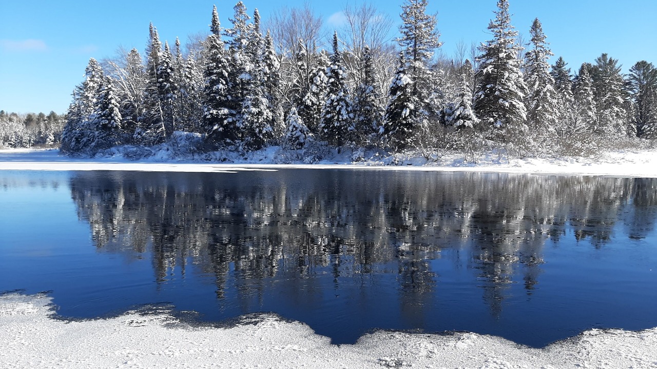 Photo of Others in Bracebridge