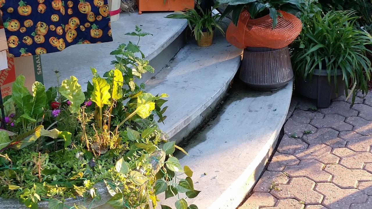 Photo of Outdoor in Portland