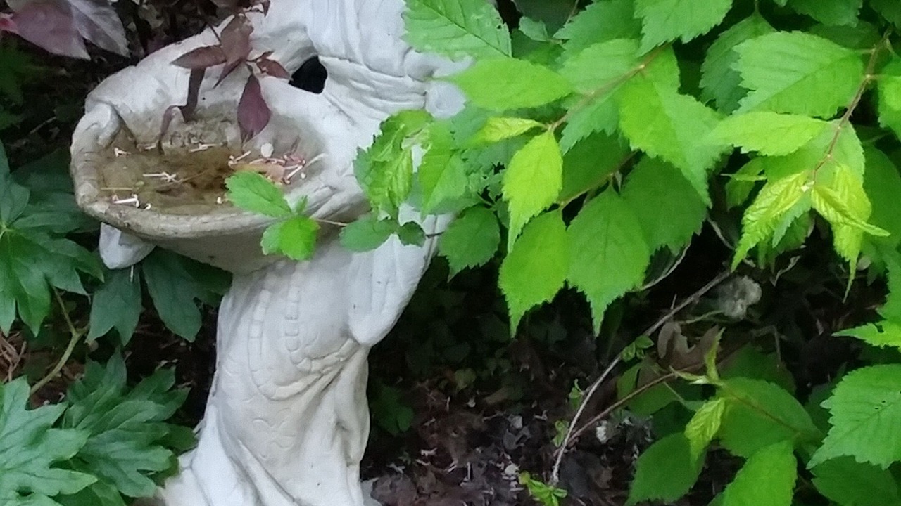 Photo of Outdoor in Portland