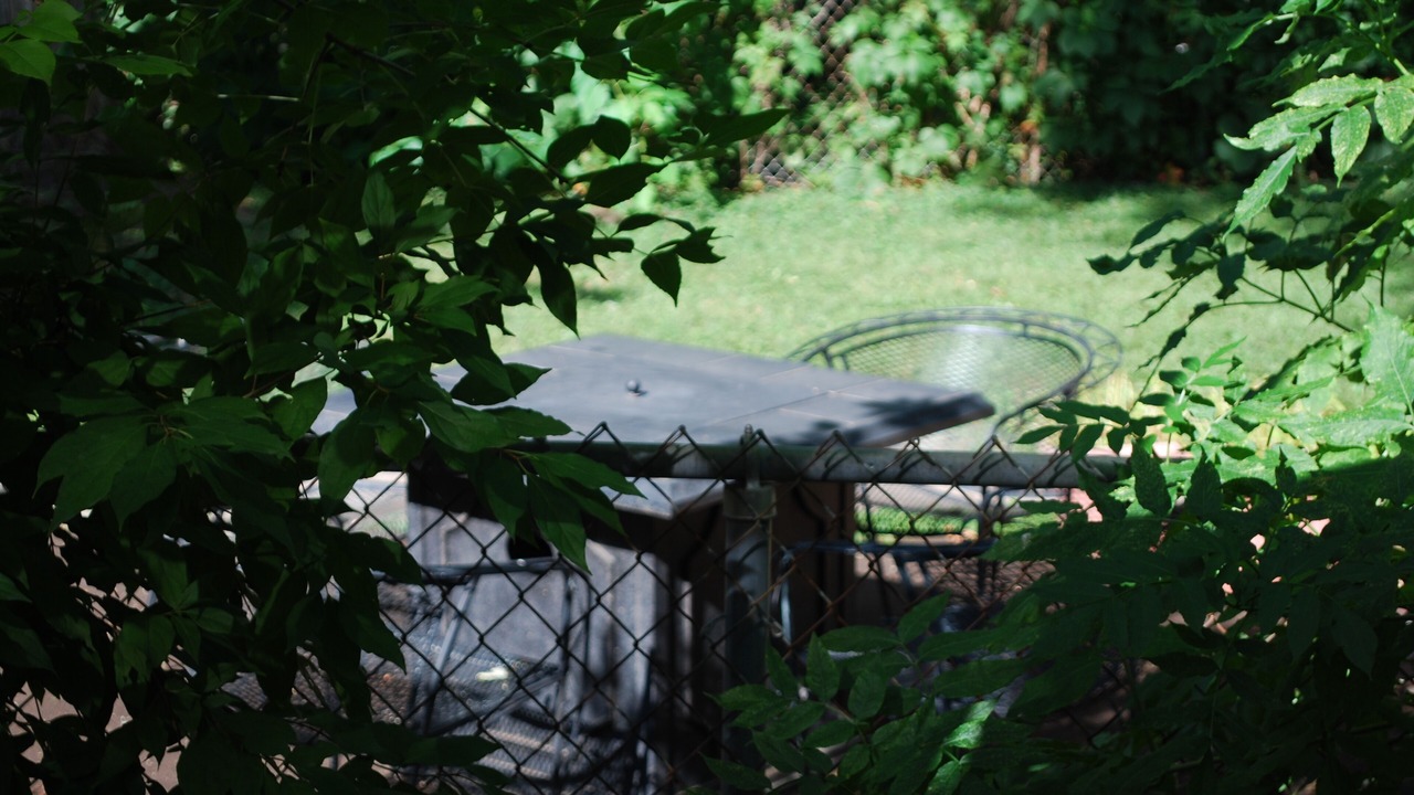 Photo of Patio Balcony in Macalester - Groveland