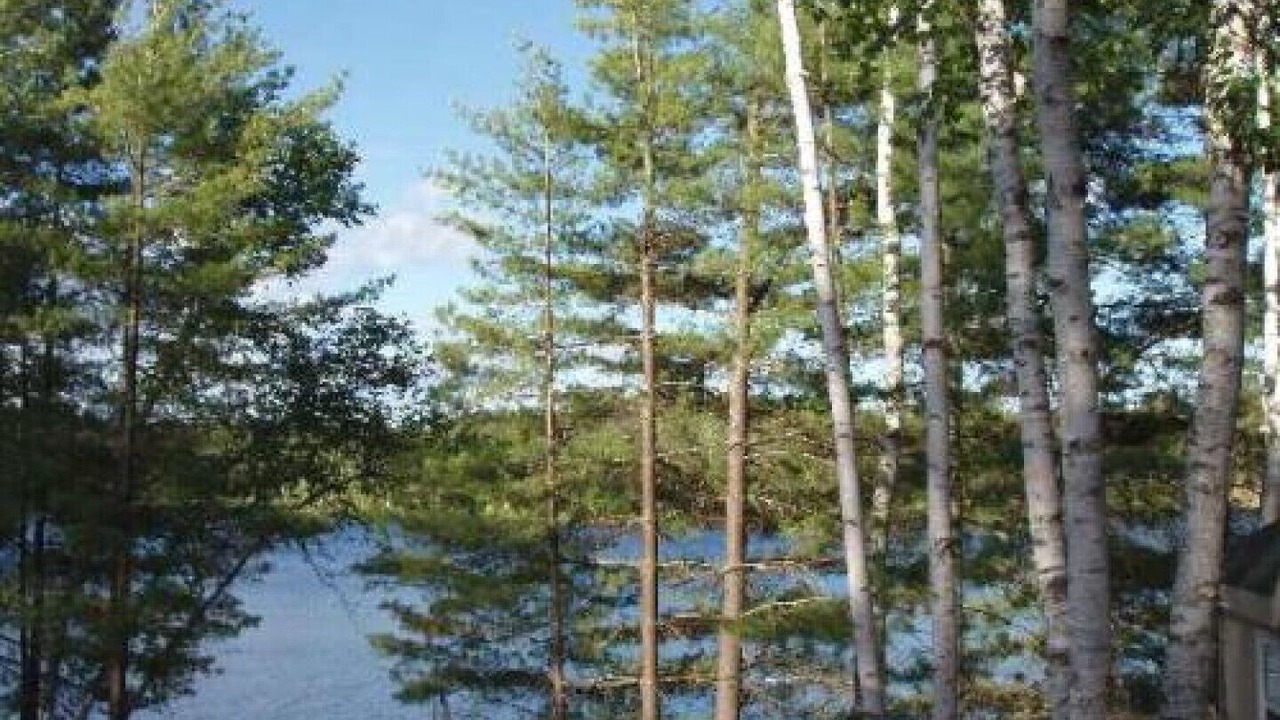 Photo of Others in Lake St. Peter